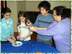 Olive Oil Workshop